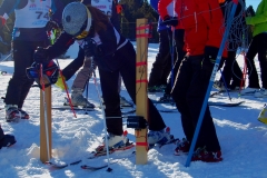 WSD 2018 (57)