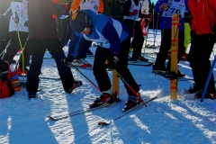 WSD 2018 (69)